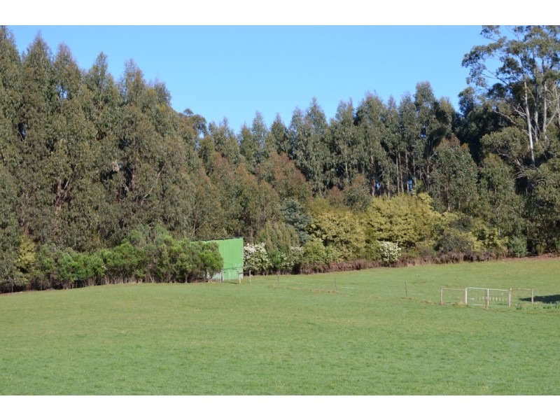 1948 Wilmot Road, Lower Wilmot TAS 7310