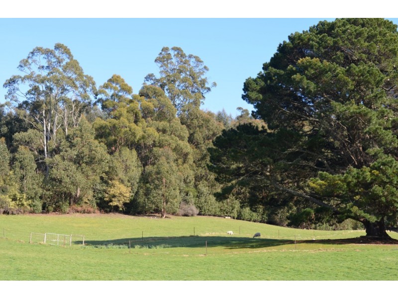 1948 Wilmot Road, Lower Wilmot TAS 7310