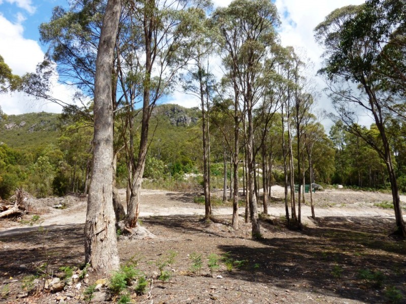 1 Main Street, Cethana TAS 7306