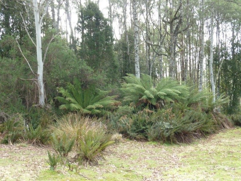 1420 Cradle Mountain Road, Moina TAS 7310