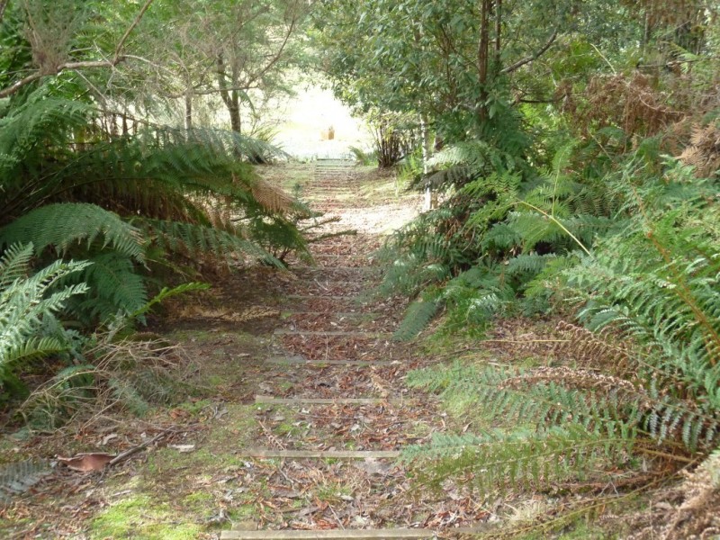 1420 Cradle Mountain Road, Moina TAS 7310