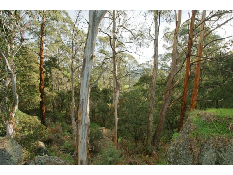 410 Paloona Road, Paloona TAS 7310