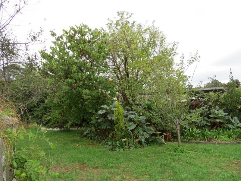 35 Ennis Avenue, Railton TAS 7305