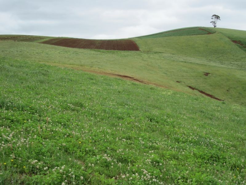 32 Perrys Road, Forth TAS 7310