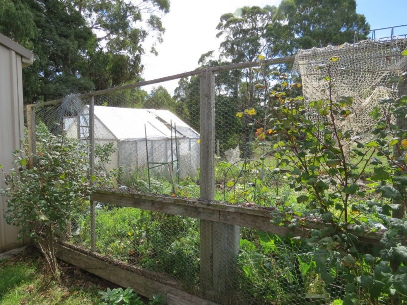 369 Back Road, Wilmot TAS 7310