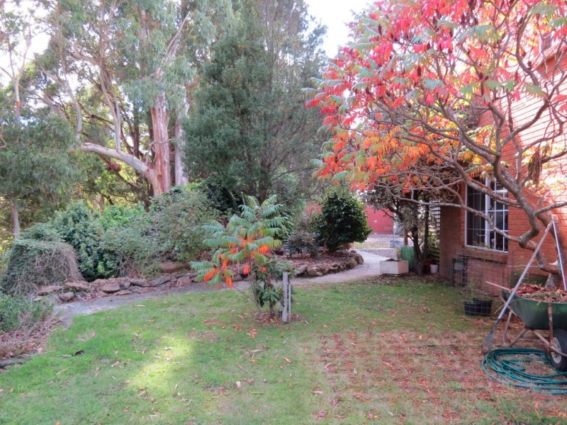 369 Back Road, Wilmot TAS 7310