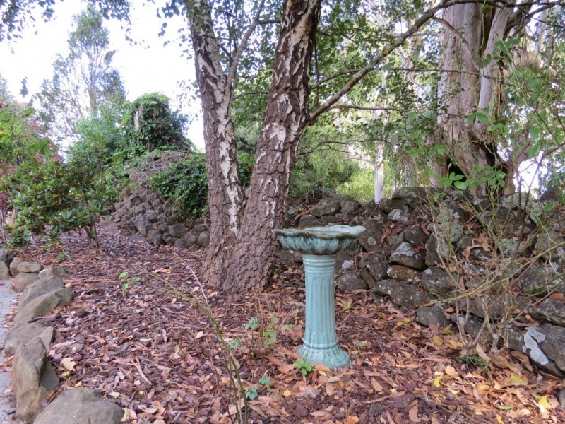 369 Back Road, Wilmot TAS 7310