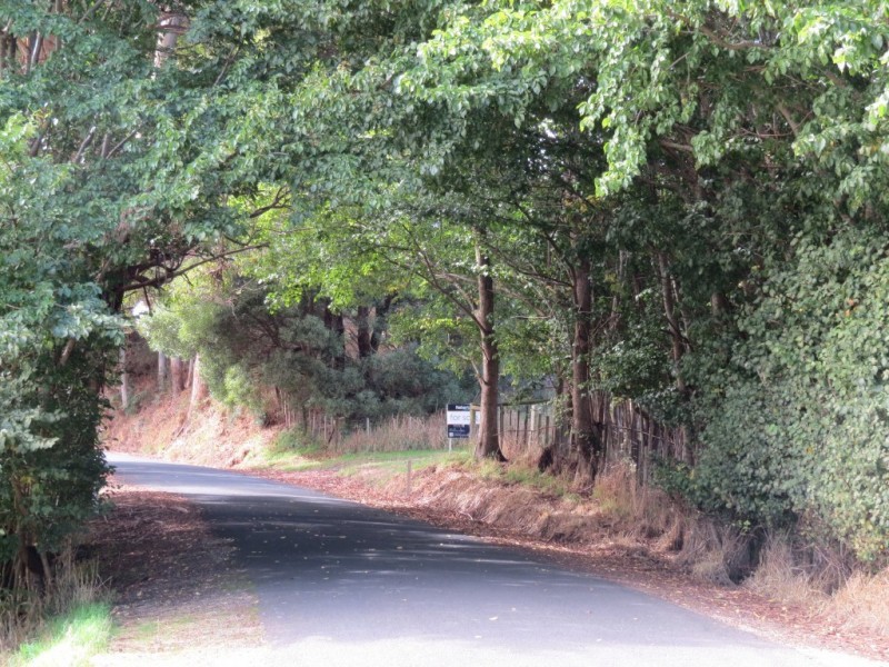 369 Back Road, Wilmot TAS 7310