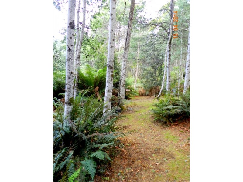 1429 Cradle Mountain Road, Moina TAS 7310