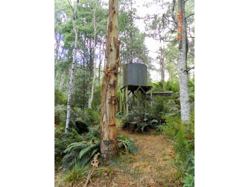 1429 Cradle Mountain Road, Moina TAS 7310