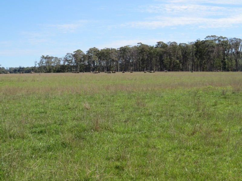 . Appleby Road, Thirlstane TAS 7307