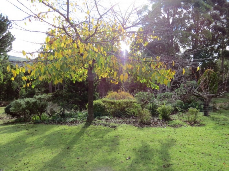 989 Claude Road, Claude Road TAS 7306