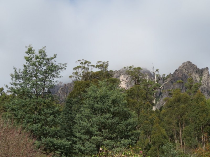 989 Claude Road, Claude Road TAS 7306