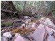989 Claude Road, Claude Road TAS 7306