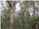 989 Claude Road, Claude Road TAS 7306