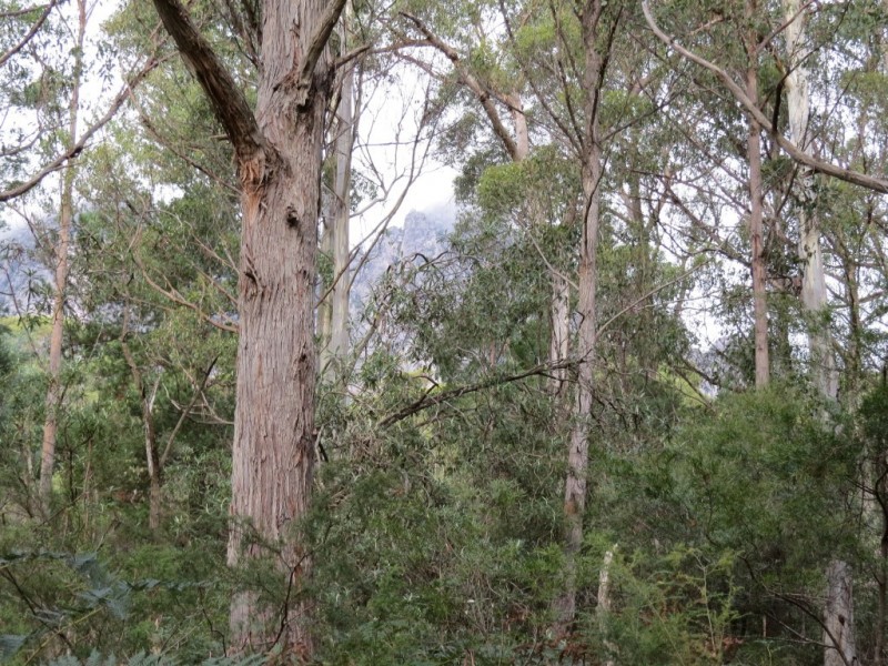 989 Claude Road, Claude Road TAS 7306