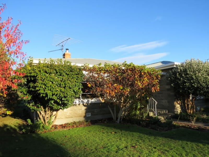 51 Morrison Street, Railton TAS 7305