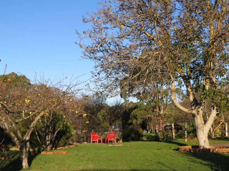 51 Morrison Street, Railton TAS 7305