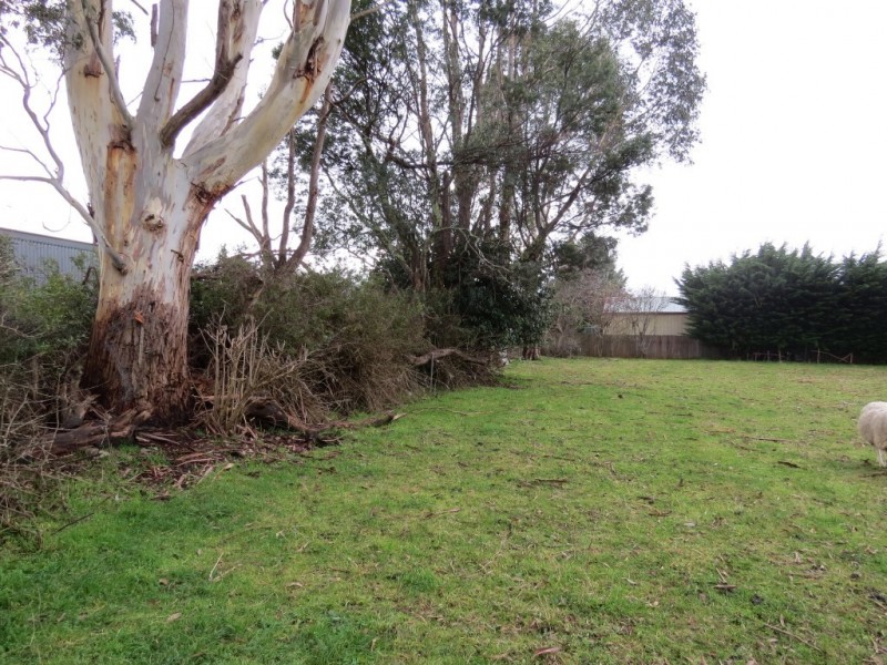 53a High Street, Sheffield TAS 7306