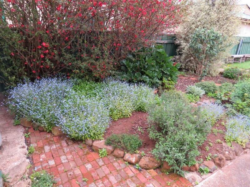 21 Henry Street, Sheffield TAS 7306