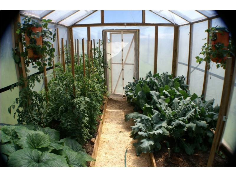 39 Formby Street, Sheffield TAS 7306