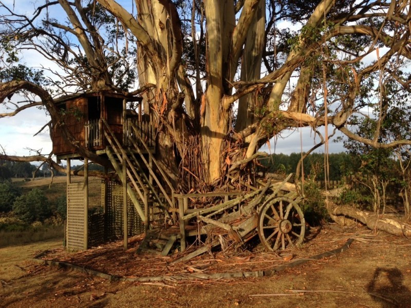 575 Staverton Road, Promised Land TAS 7306