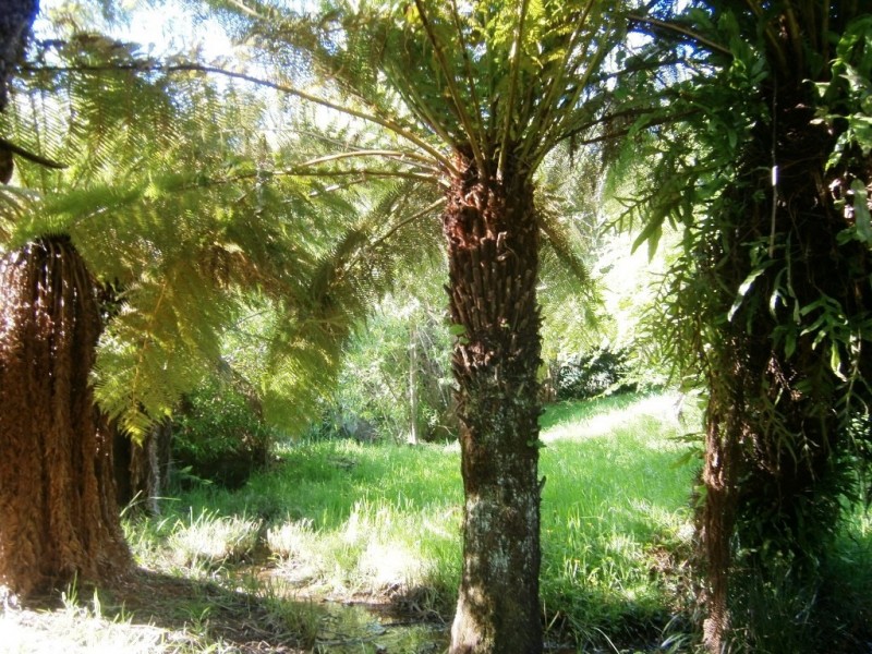 28 Diprose Road, Sheffield TAS 7306