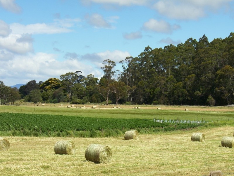 34 Lamberts Road, Merseylea TAS 7305