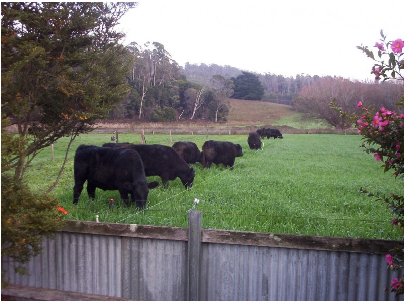 34 Lamberts Road, Merseylea TAS 7305