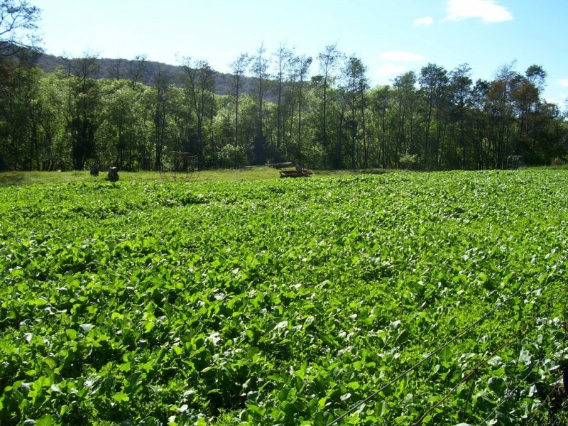 34 Lamberts Road, Merseylea TAS 7305