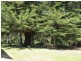 3098 Sheffield Road, Railton TAS 7305