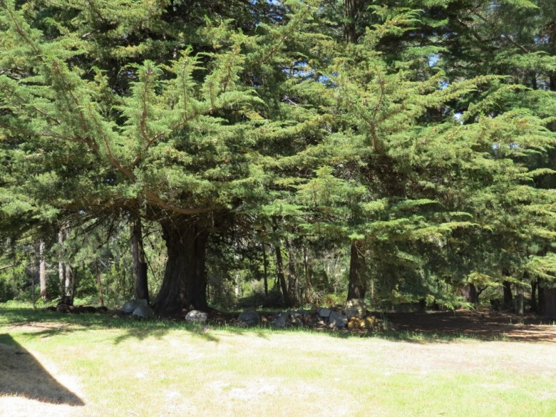 3098 Sheffield Road, Railton TAS 7305