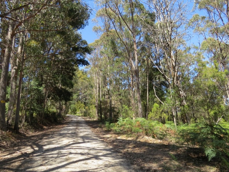 3098 Sheffield Road, Railton TAS 7305