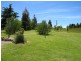 3098 Sheffield Road, Railton TAS 7305