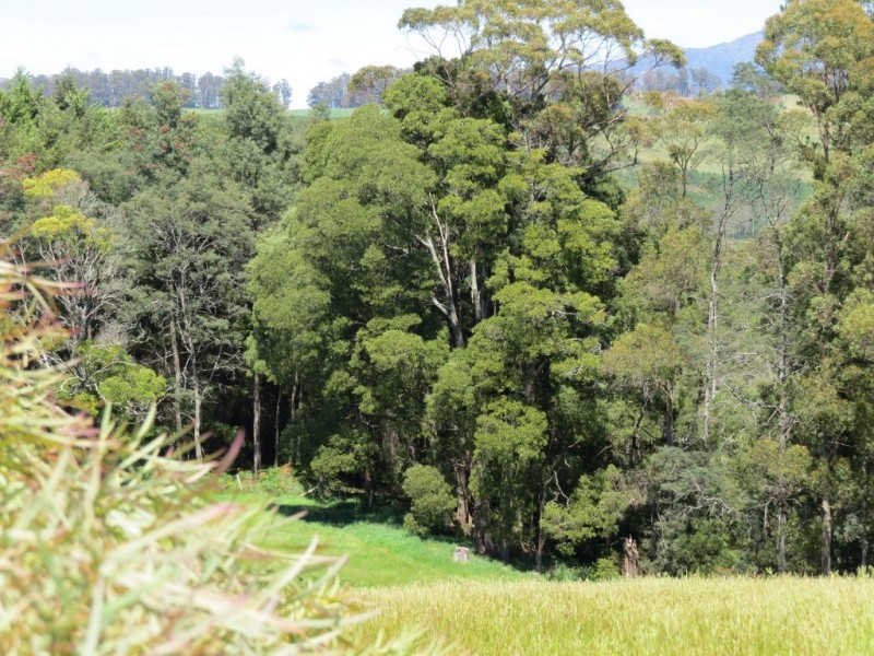 3098 Sheffield Road, Railton TAS 7305