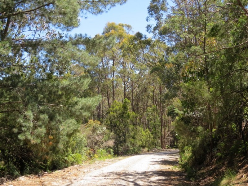 3098 Sheffield Road, Railton TAS 7305