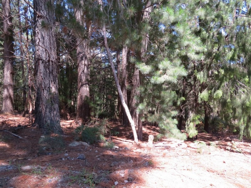 3098 Sheffield Road, Railton TAS 7305