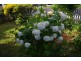 7 Albert Street, Sheffield TAS 7306