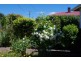 7 Albert Street, Sheffield TAS 7306