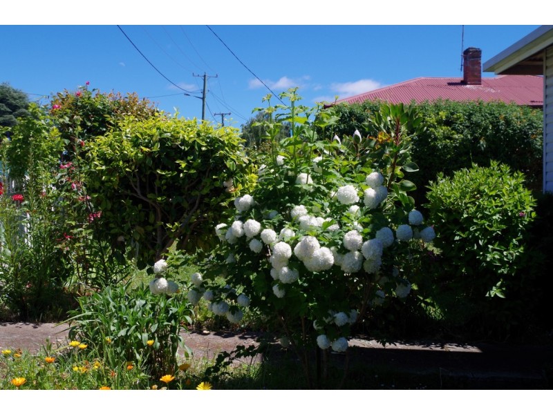 7 Albert Street, Sheffield TAS 7306