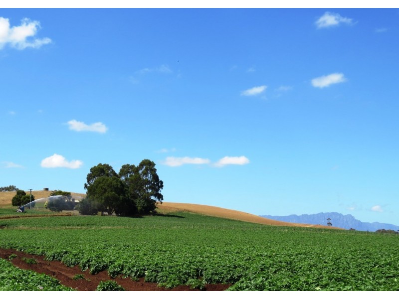 69 Meads Road, Melrose TAS 7310