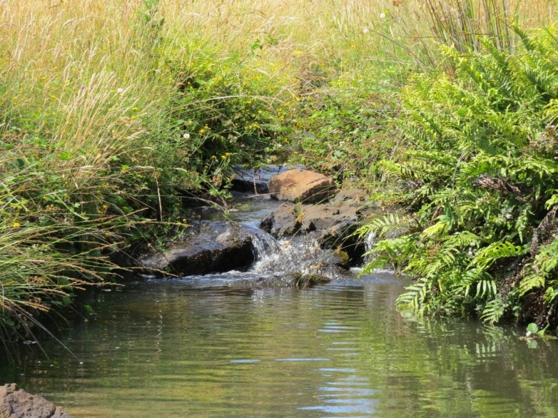 69 Meads Road, Melrose TAS 7310