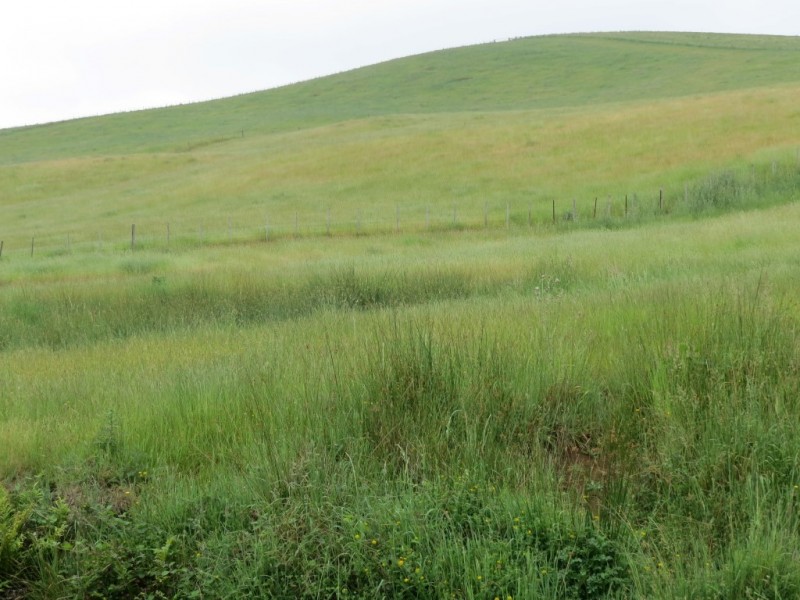 69 Meads Road, Melrose TAS 7310