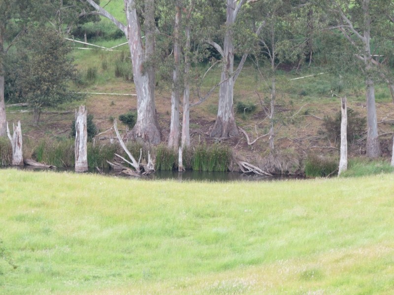 69 Meads Road, Melrose TAS 7310