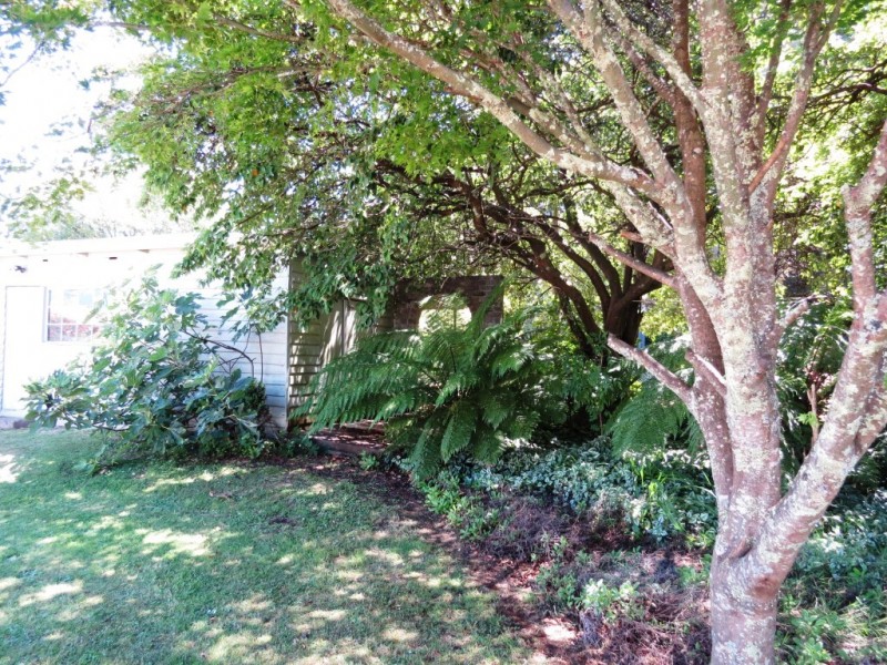 27 Henry Street, Sheffield TAS 7306