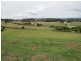 8 Landon Place, Sheffield TAS 7306
