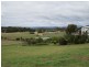 8 Landon Place, Sheffield TAS 7306