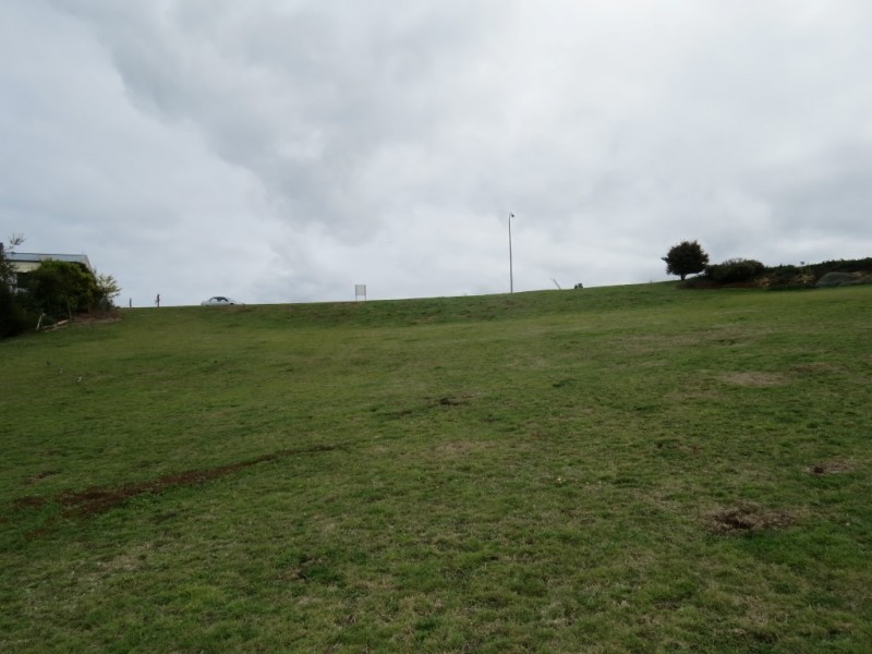 8 Landon Place, Sheffield TAS 7306