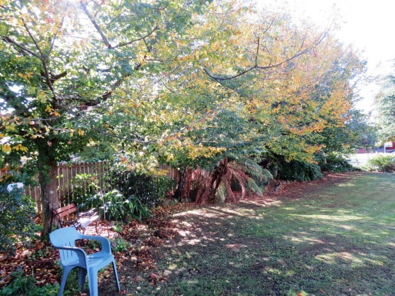 29 Henry Street, Sheffield TAS 7306