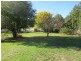 29 Henry Street, Sheffield TAS 7306